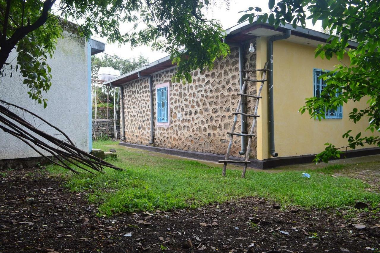 Chef Wondim Backpackers Hostel Gonder Eksteriør billede